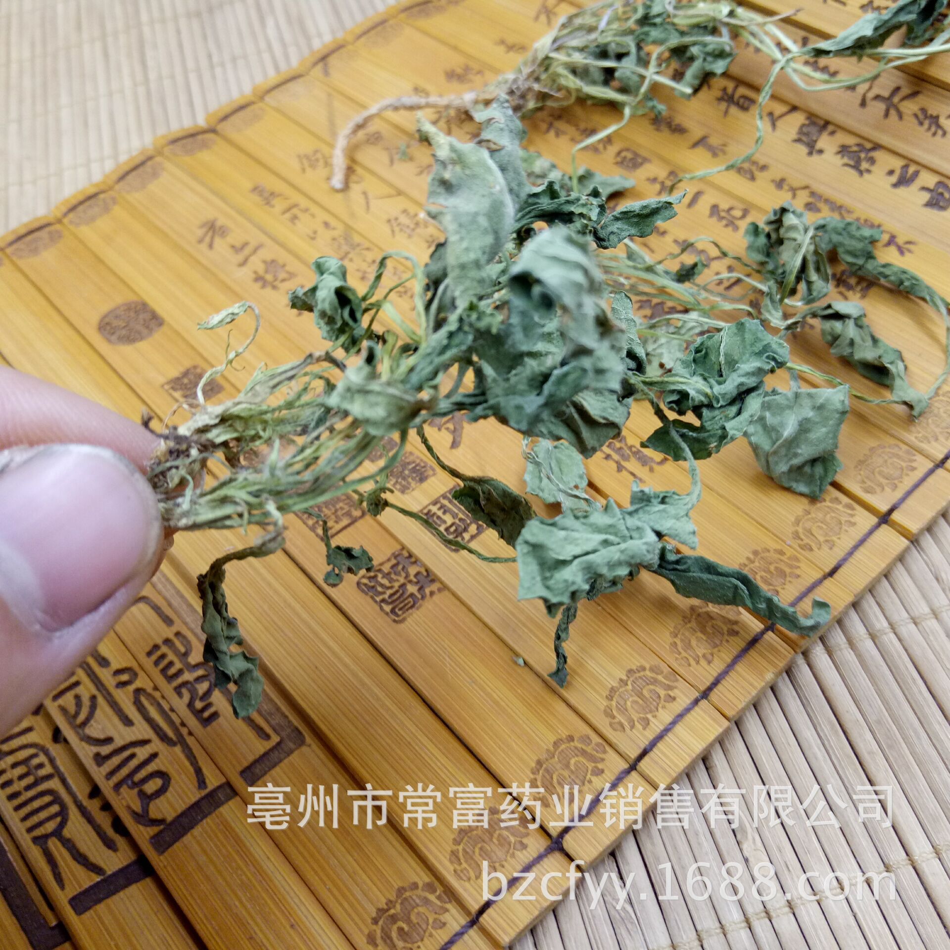Viola Herb Zi Hua Di Ding Whole Plant Dried 500g Traditional Chinese Herbal Tea and Decoction Ingredient key features
