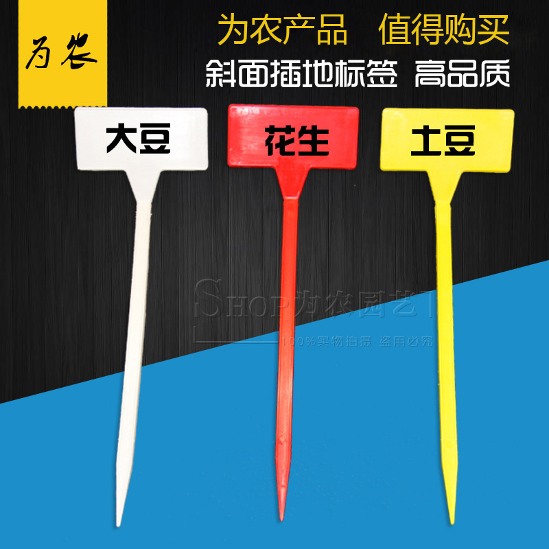 4402611221_782968901