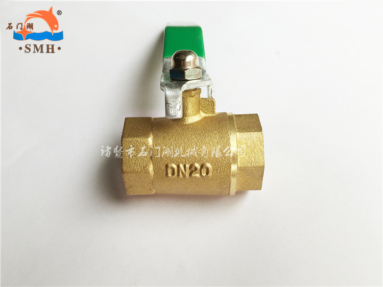 DN20双内丝球阀小体 (3)_3副本