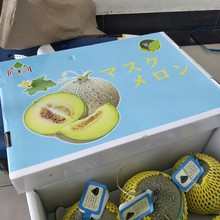 日本哈密瓜价格_最新日本哈密瓜价格\/批发报价