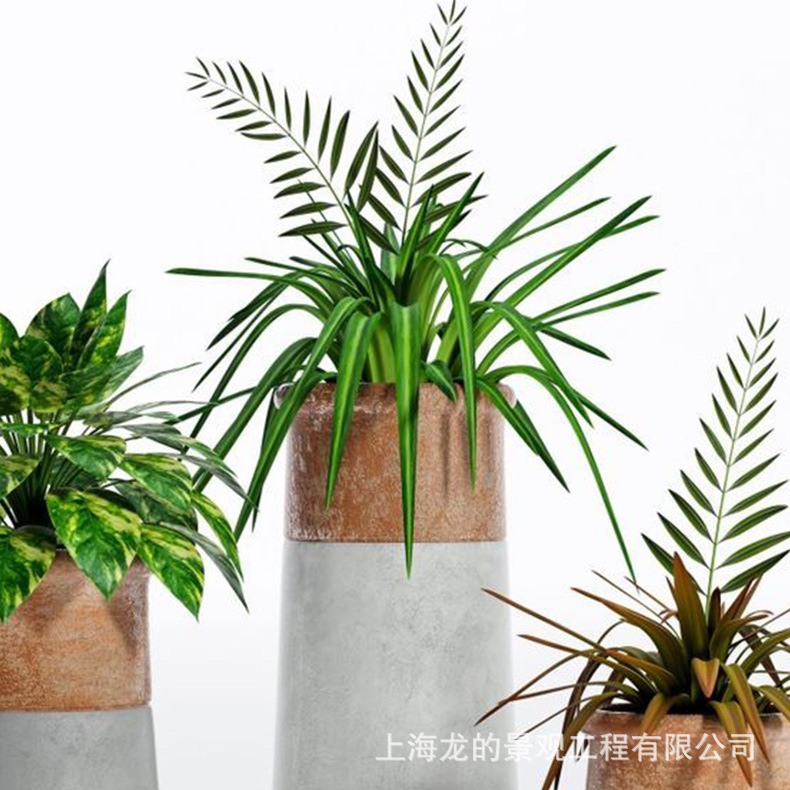 רҵ���ƴ��ͻ��������̳������ֻ���������������СƷ�ڼ�����