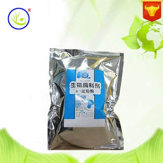 现货供应 α-淀粉酶 食品级真菌  1kg起订量大优惠活性专用