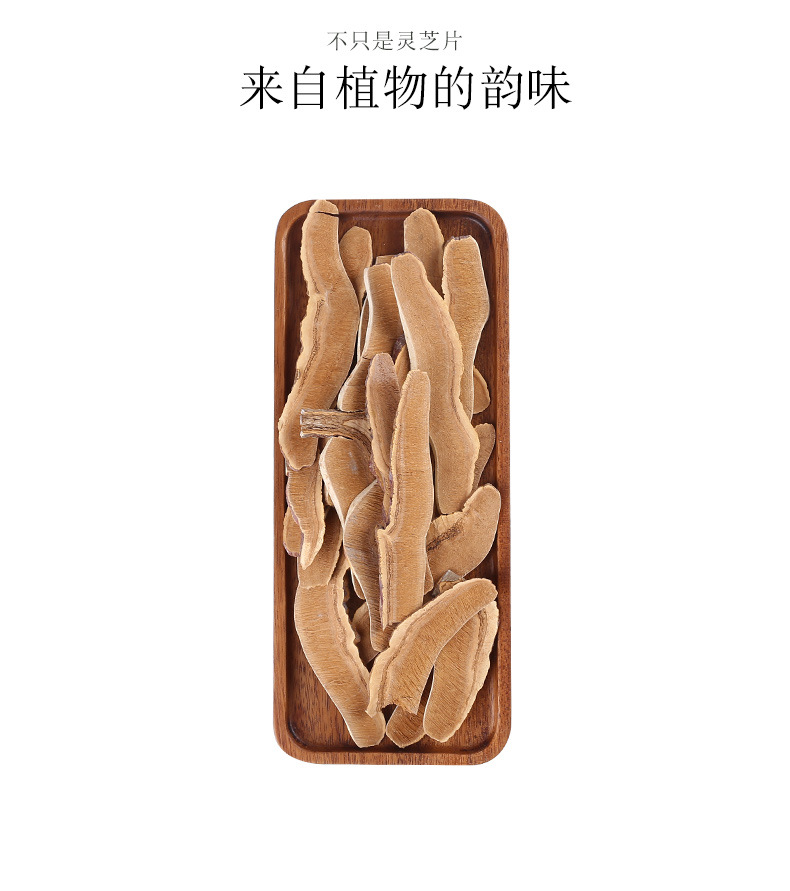 Dried Reishi Mushroom Slices Ling Zhi Bulk Ganoderma Slices for Decoction and Soup quality and texture