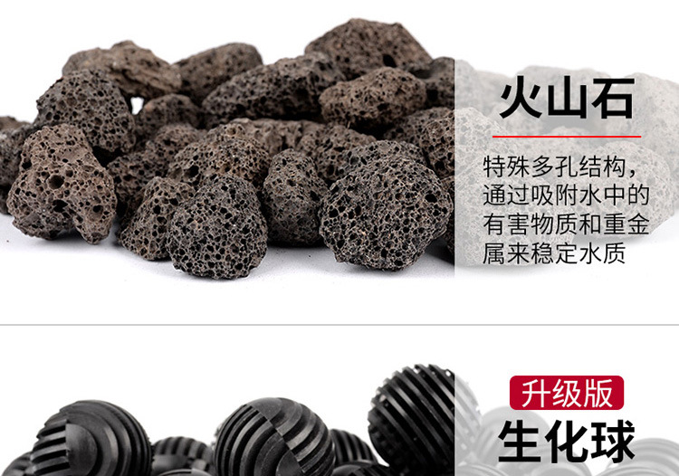 �˲�-����750_18