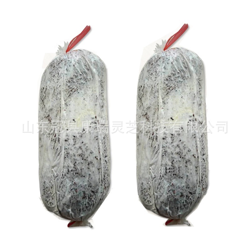 赤灵芝种苗 紫灵芝菌种 灵芝种子 二级菌种 灵芝原种 灵芝母种