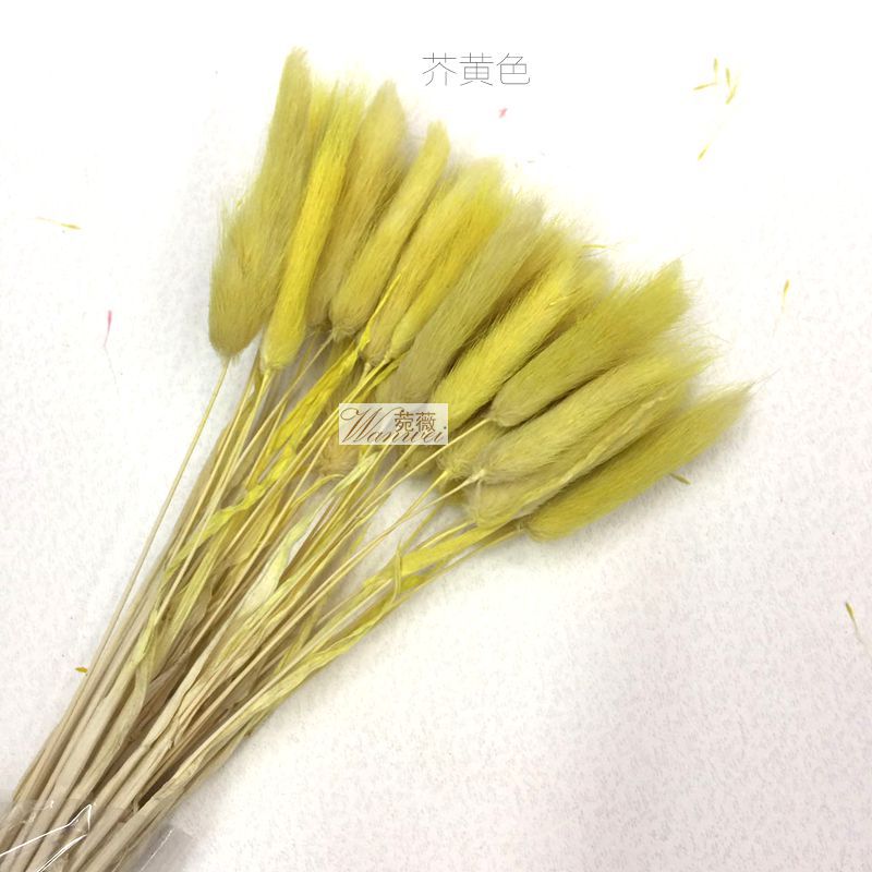 微信图片_20170521112138_副本_副本