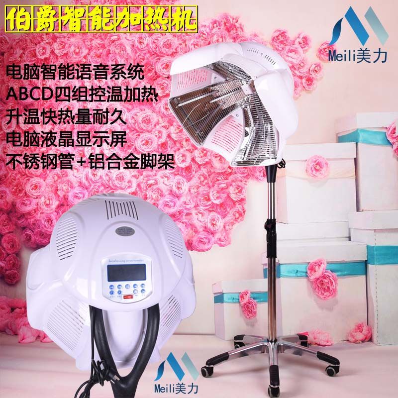 wholesale Hairdressing Heater Hair dryer vertical UFO Accelerate Stereotype Perm Barber Shop new pattern Manufactor