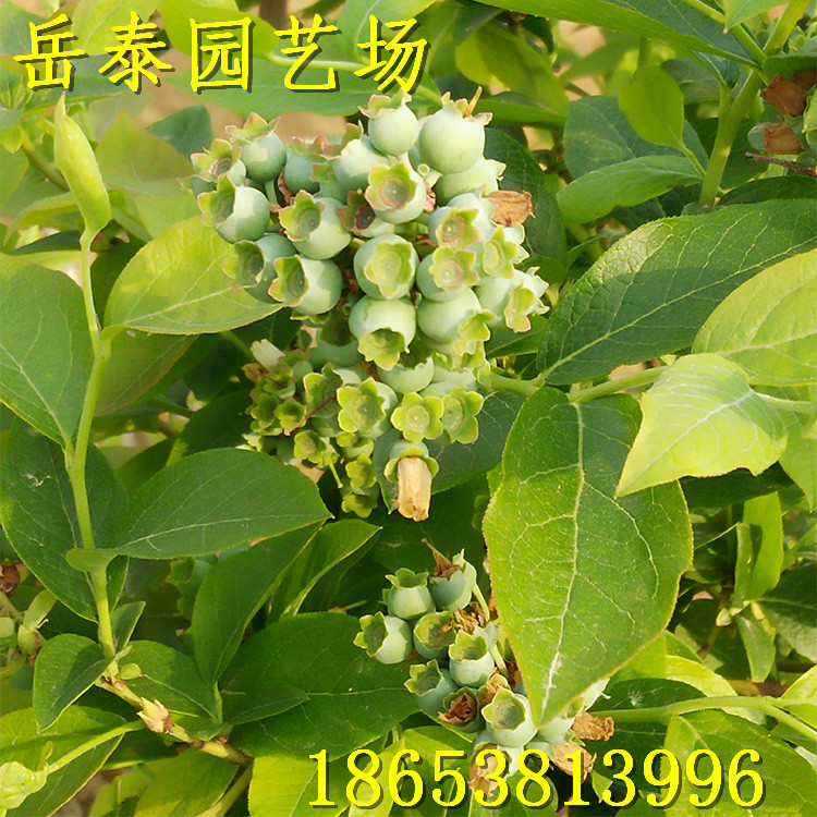 img20160422082437