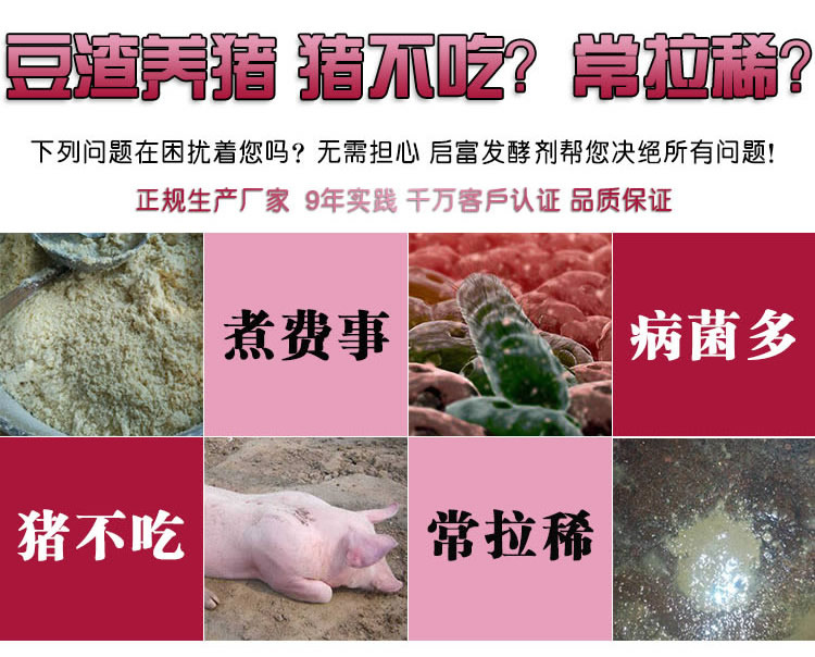 不发酵豆渣养猪害处