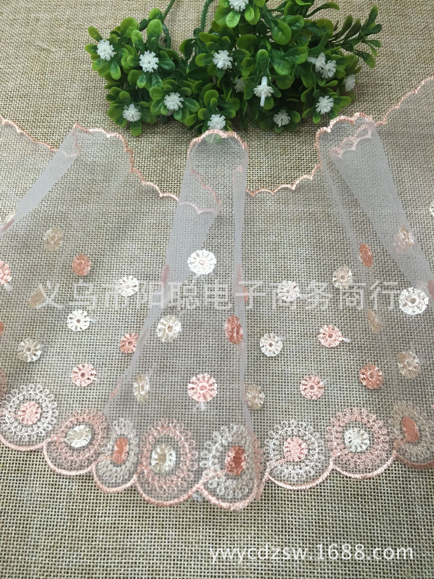 圈圈花双色血牙