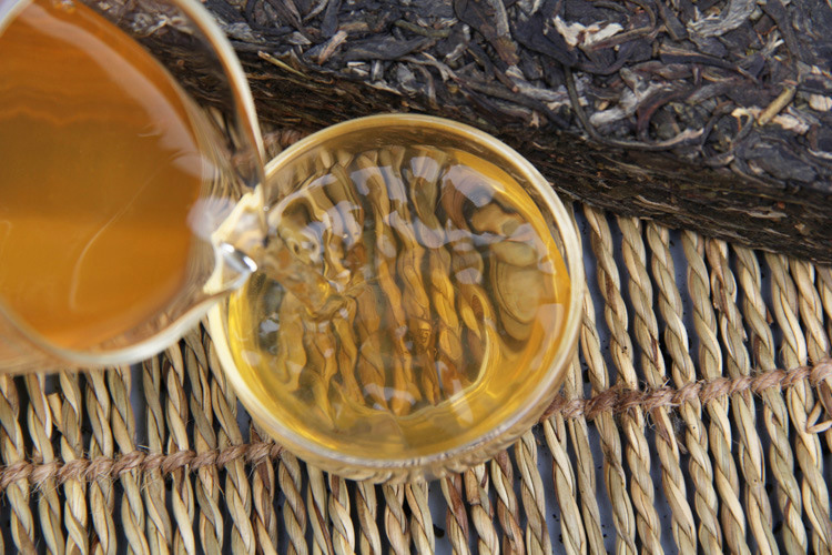 4038144124_1755652575