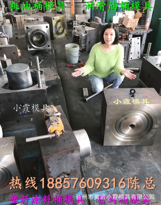 机油桶模具 (80)