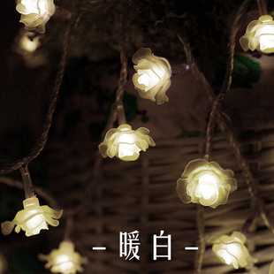 �S��ֱ�NLEDõ�廨�����ʟ��W�������鷿��c�b��׹����b�