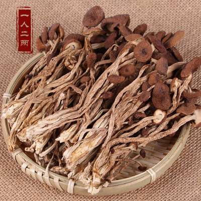 【现货供应】茶树菇菌新鲜干货500g农家自产古田特级不开伞茶树菇|ms