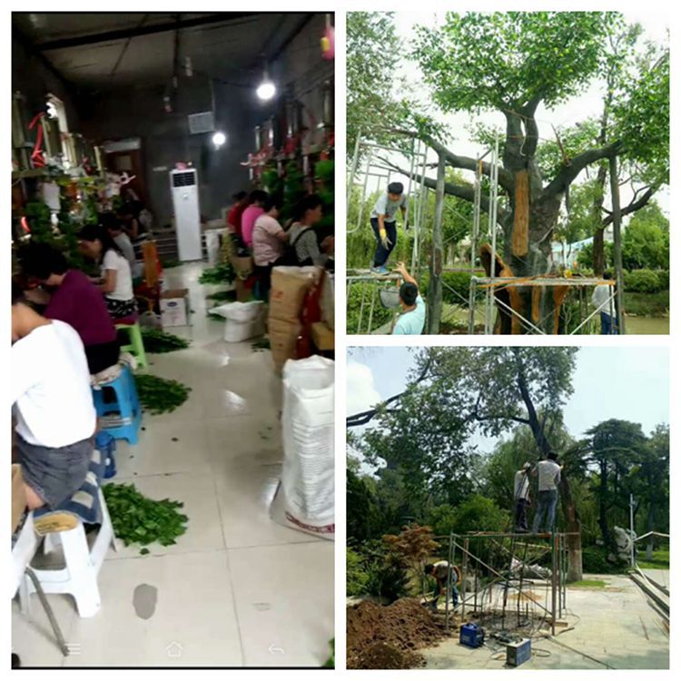 679393399100026209_副本_副本