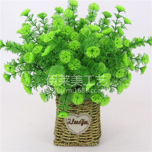 �F؛  ���滨�� ëë�� �����b� ��cӰ�ǾƵ�G����ķ���ֲ��