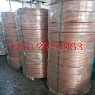 ���~�ܽ��Ճr���߄� �������~�����l ֱ�� �P�� ���~���� ���~��