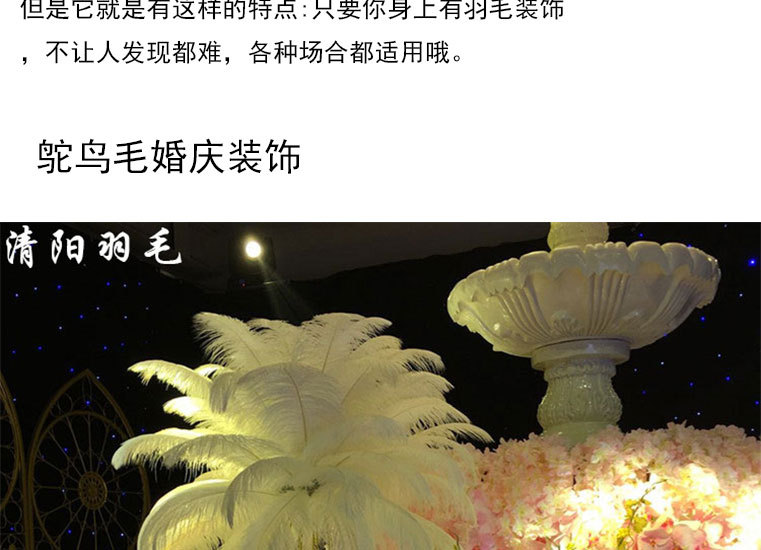 15-20湖兰详情页面模板_04