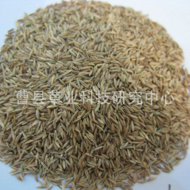 800358ba4682b19984053b0dbf82be