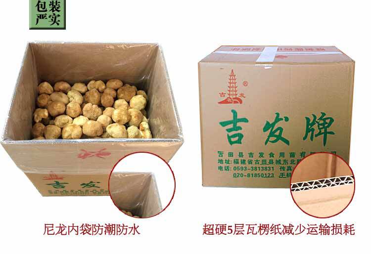 猴头菇-详情图al_15