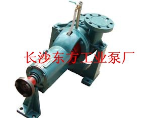 湘楚东方65R-64IB电站热水泵 电厂热水泵