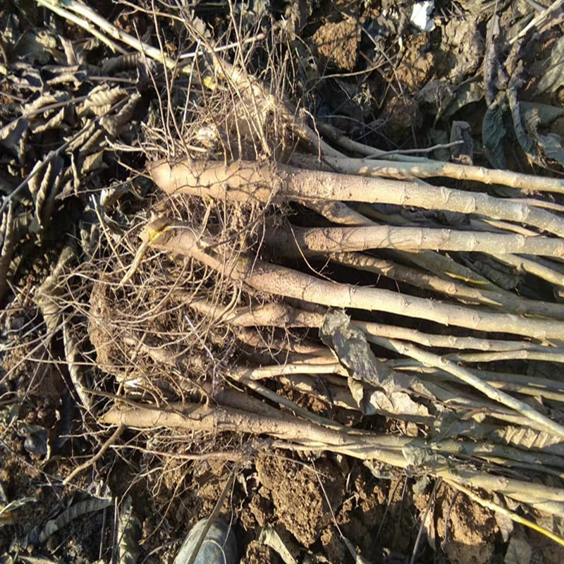 寰俊鍥剧墖_20171105152857_鍓湰