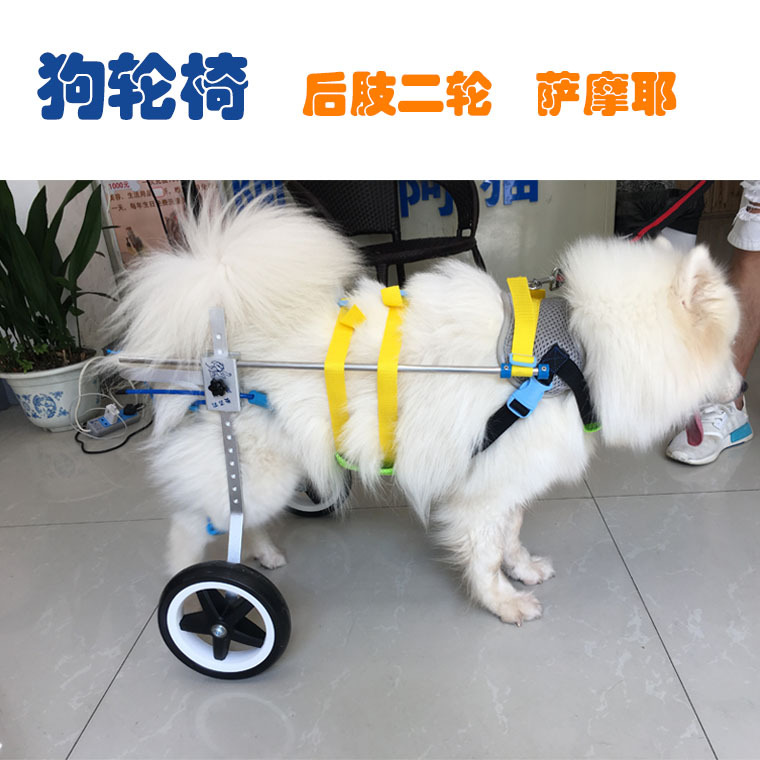 %E8%90%A8%E6%91%A9%E8%80%B63.j