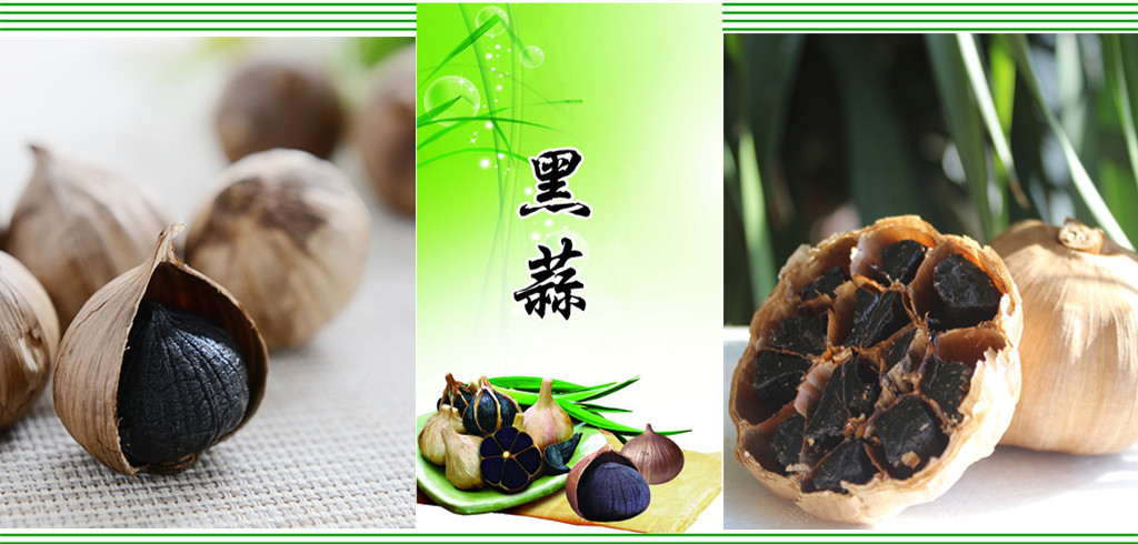 21272776_124940480000_2