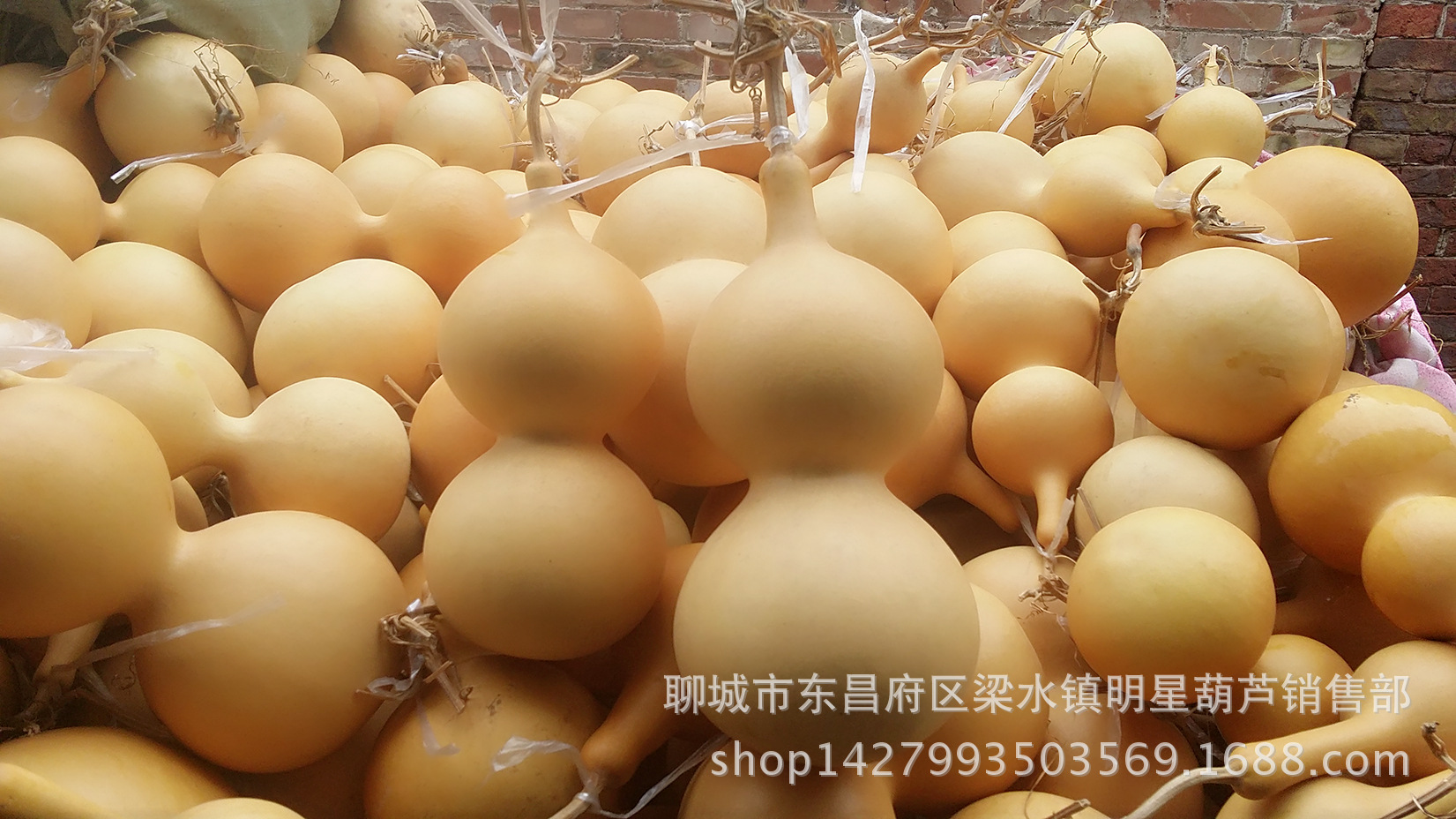 MYXJ_20161118095631_fast