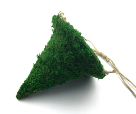 植物工艺品;工艺品加工;蕨类植物