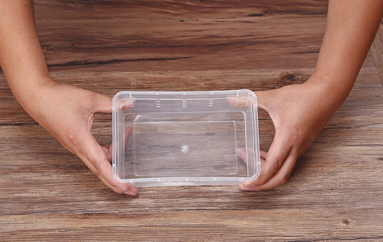 掌上明珠-宠物盒_19