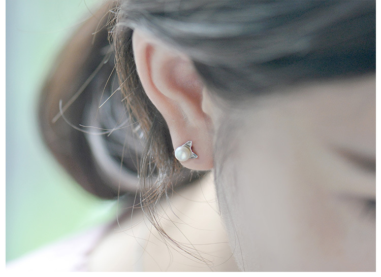 Silver Simple Animal earring(Empty earrings) NHDY0020-Empty earrings