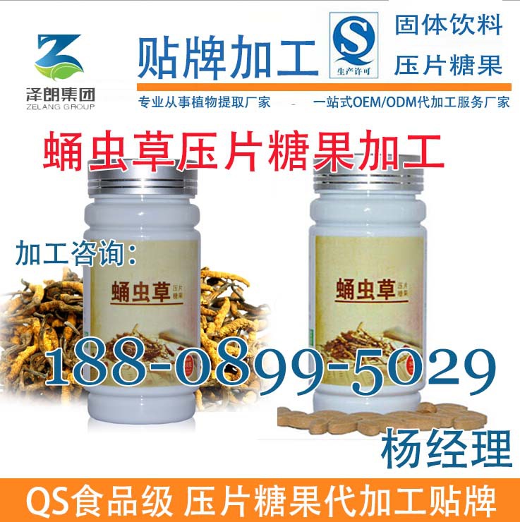 蛹虫草压片糖果加工