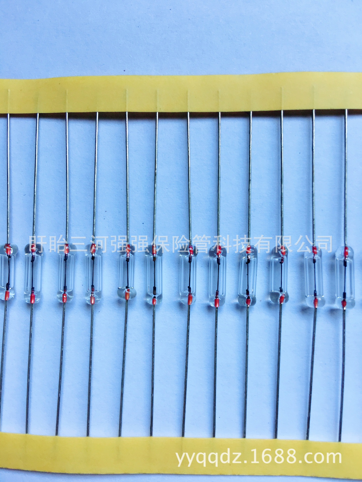 供应全玻璃保险丝 保险管