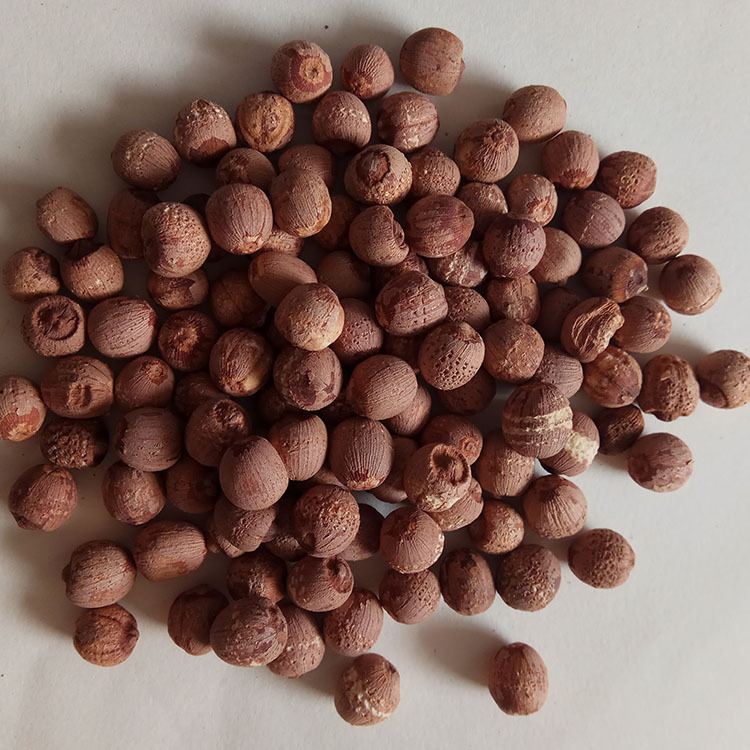 Low Temperature Baked Red Lotus Seeds Hong Lian Zi Dried Lotus Seed for Soup and Congee key features