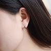 Fashionable hypoallergenic earrings stainless steel suitable for men and women for beloved