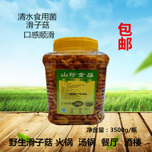 清水食用菌滑子菇牛肝菌3500g桶蘑菇白灵鸡腿菇茶树菇商用批发