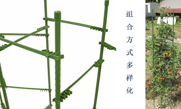 QQ图片20171027101652