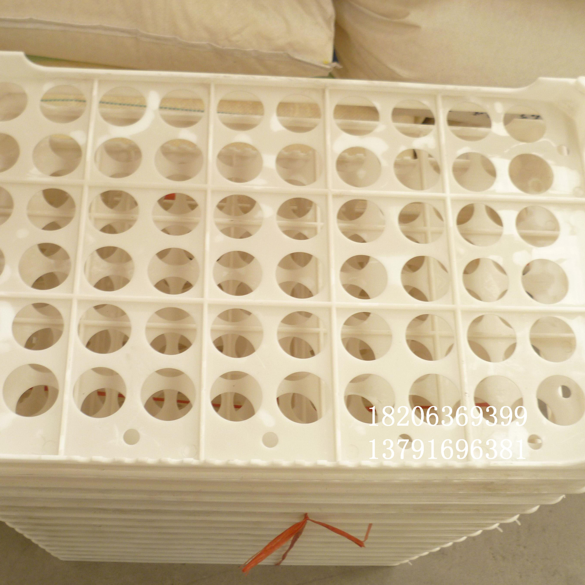 塑料鸡蛋托图片 60枚优质塑料蛋托 鸡蛋托价格