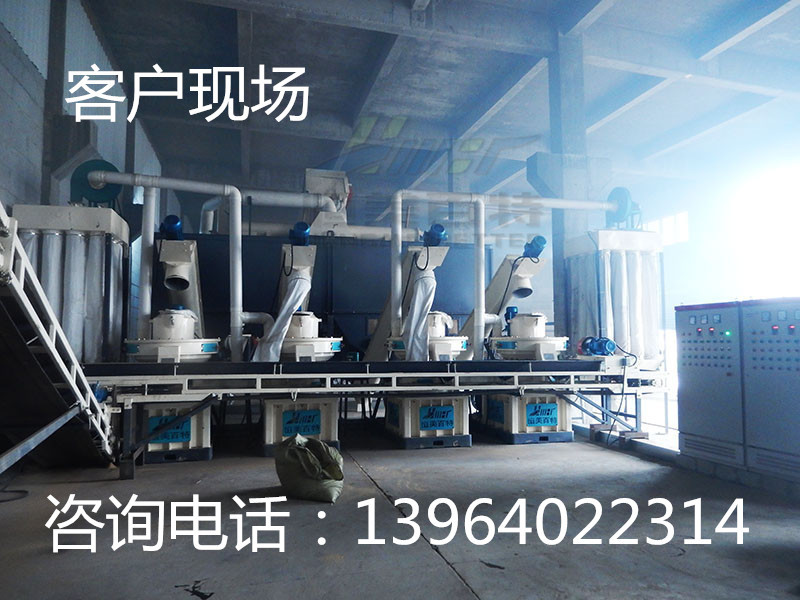 3868219341_2066696623