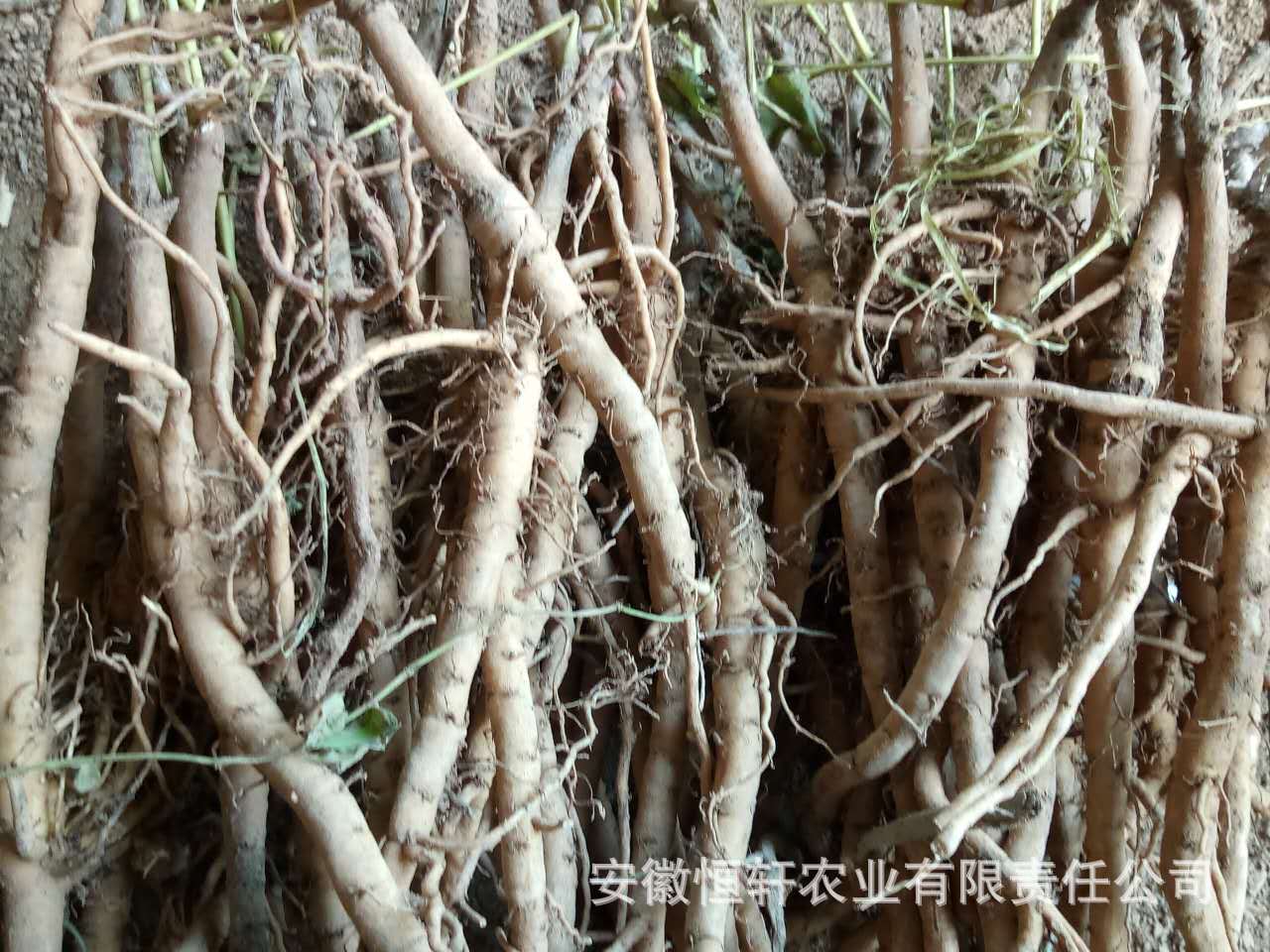 微信图片_2017090512254820