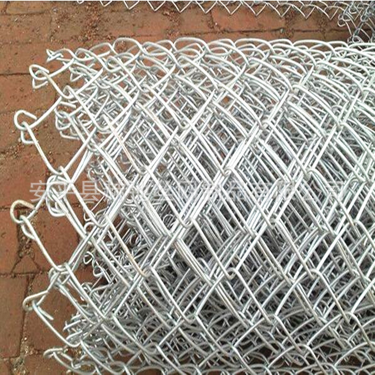 工厂定制  客土喷播专用钢丝格栅网 山体边坡绿化喷锚铁丝网