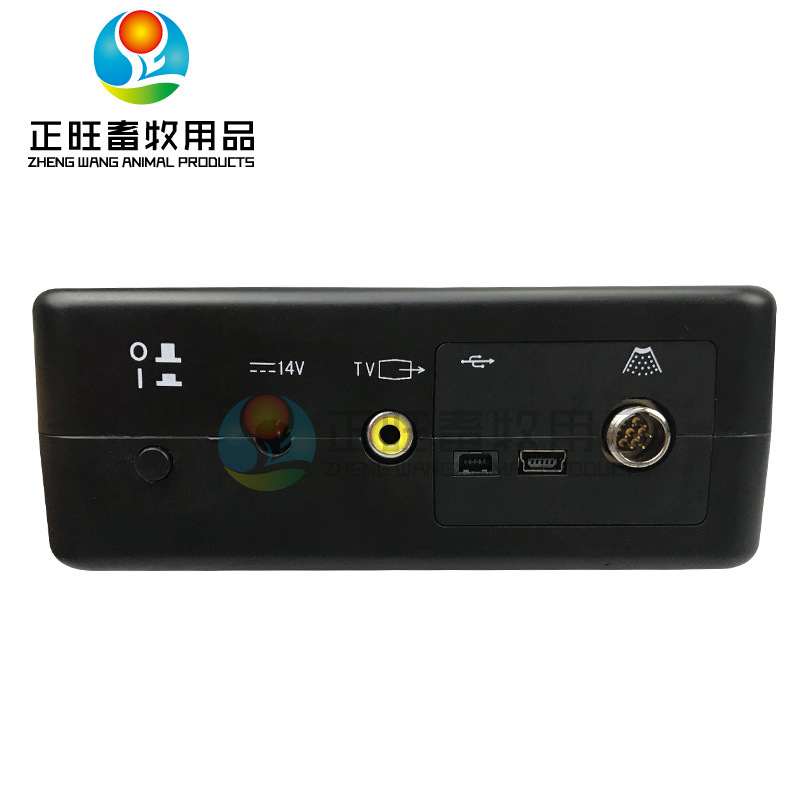 Ultrasonido de color B para cerdos Ultrasonido de color B portátil para cerdas Ultrasonido de color B para animales Ultrasonido de color B para animales