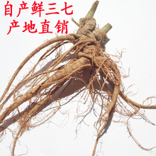 ���ʡ��ɽ�خa20�^�r���߿ɟ����r���߷Nֲ�����l