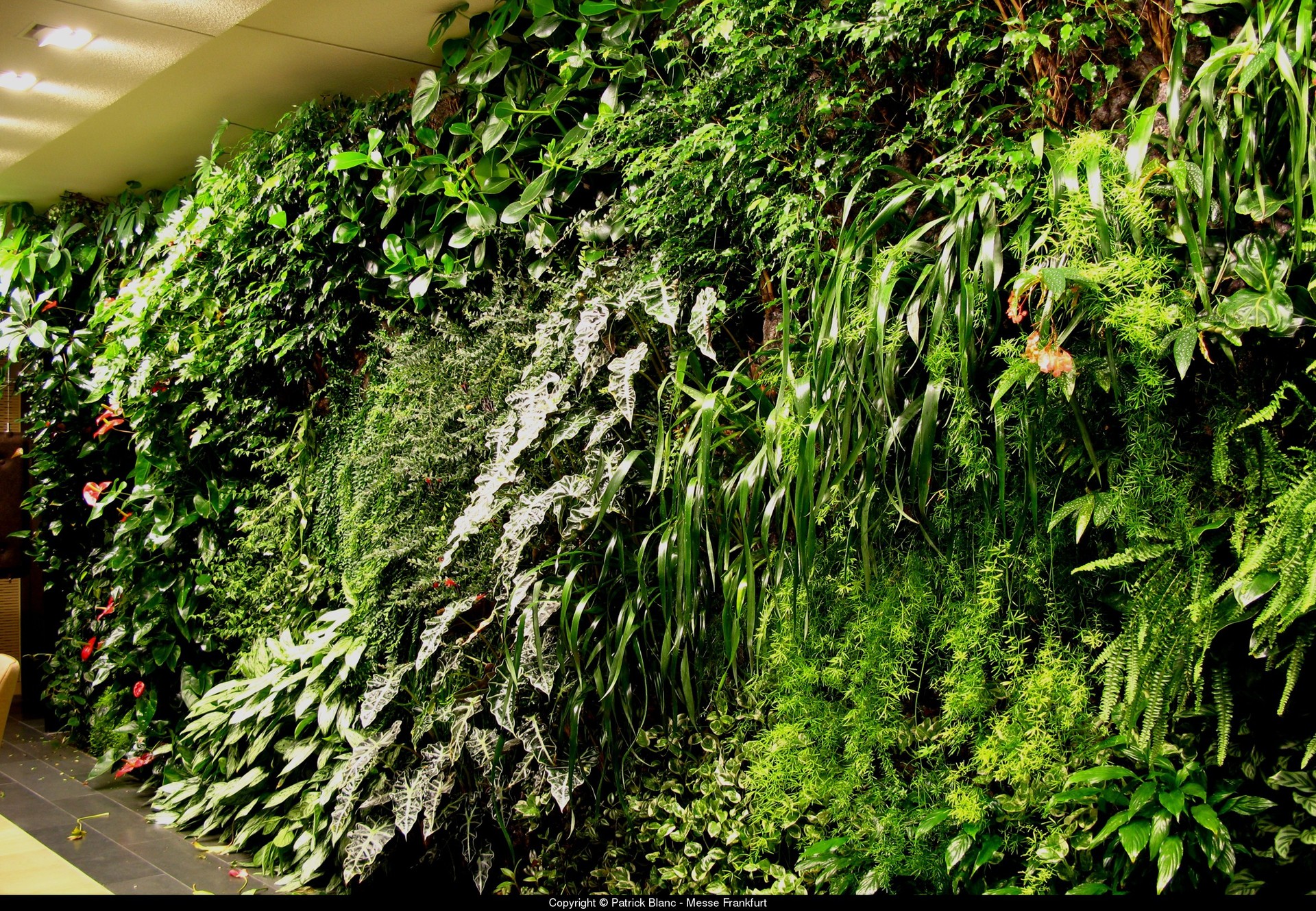 室外墙面绿化——“植物墙绿化”-室内软景-陕西源景园林有限公司|西安植物墙制作