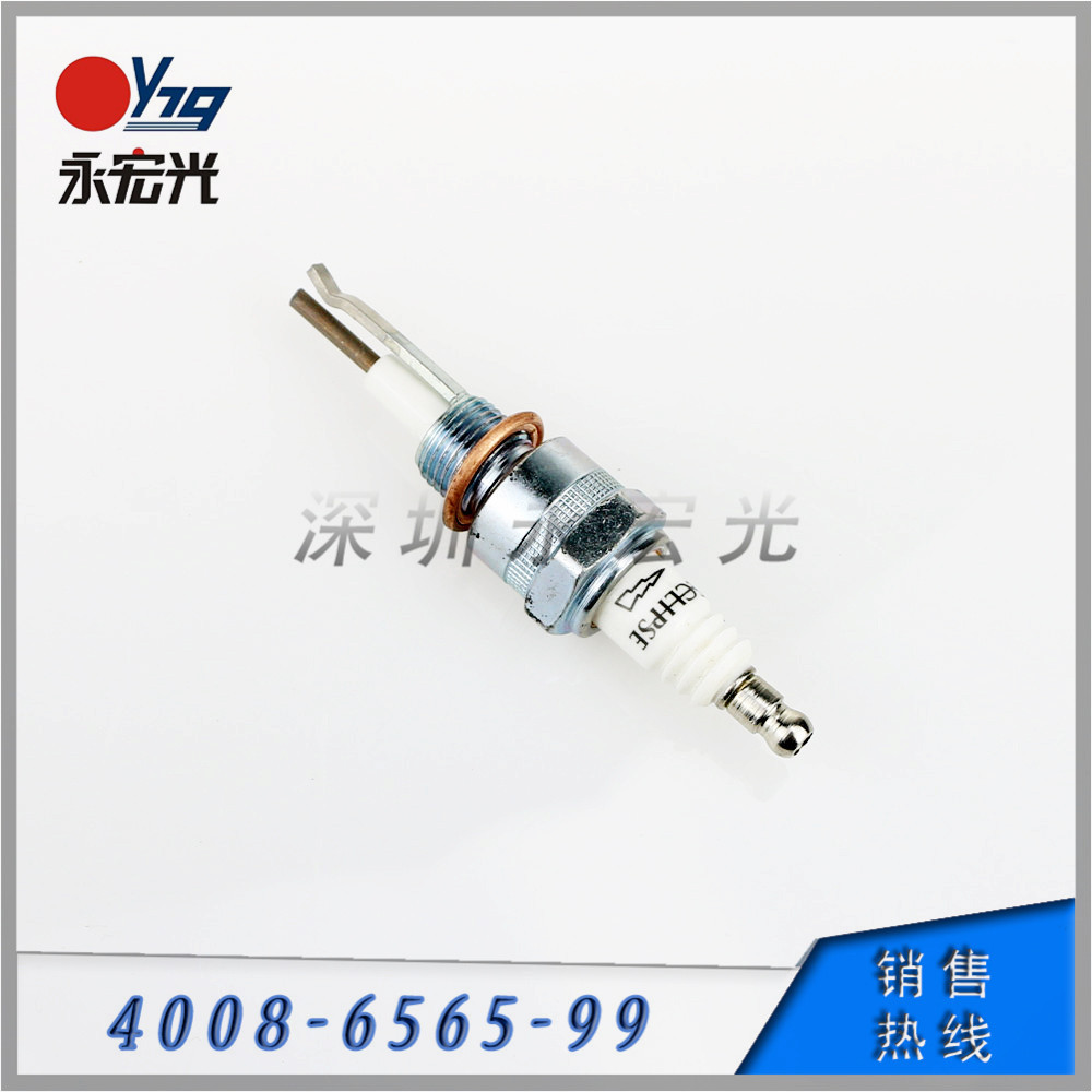 供应天时点火棒13047,美国天时点火针13047