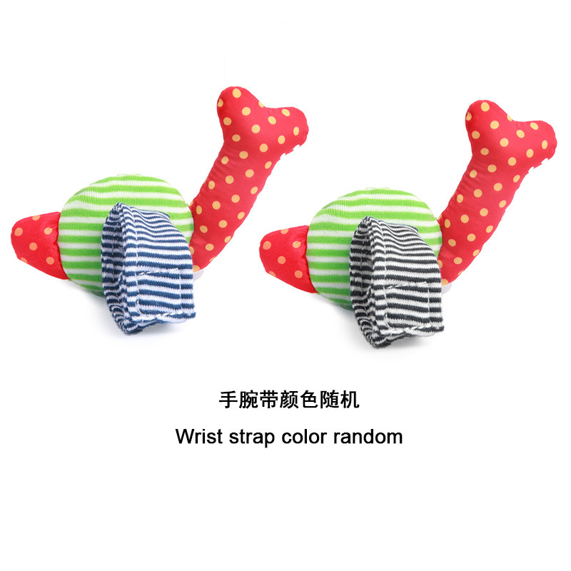 4365592185_1760842305