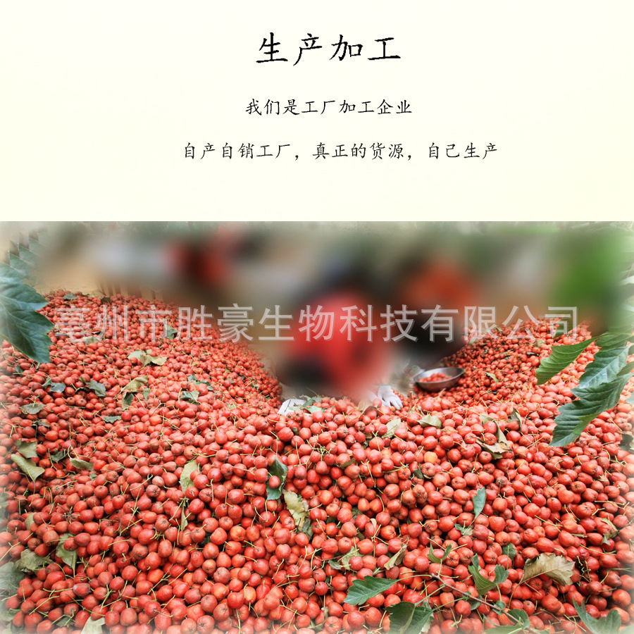 Производство и обработка информации