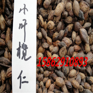 新采小叶榄仁种子小叶榄仁树种子细叶揽仁非洲榄仁发芽率高量大优-阿里巴巴