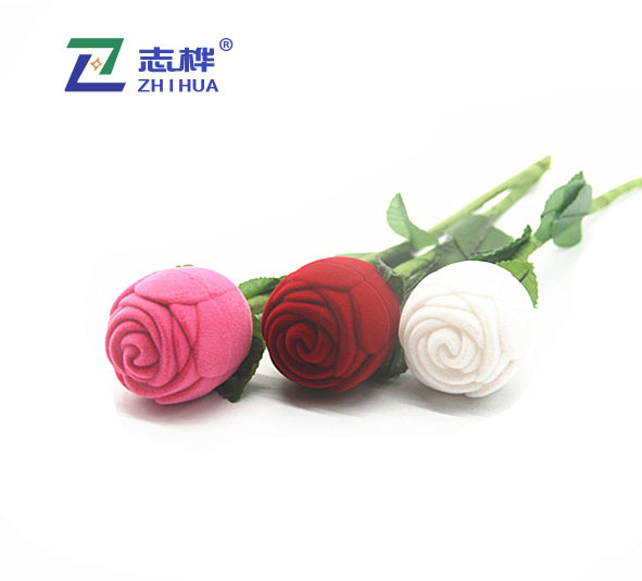 DSC_0239_副本 拷贝